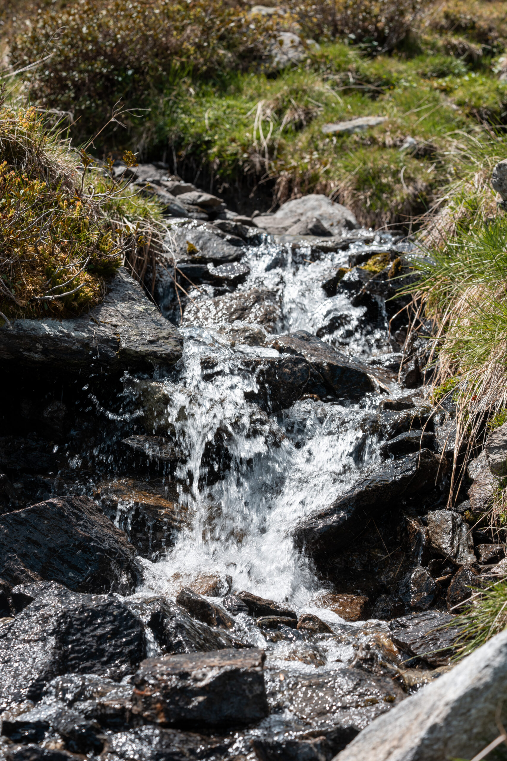 2025 05 30 zillertal fügen 21